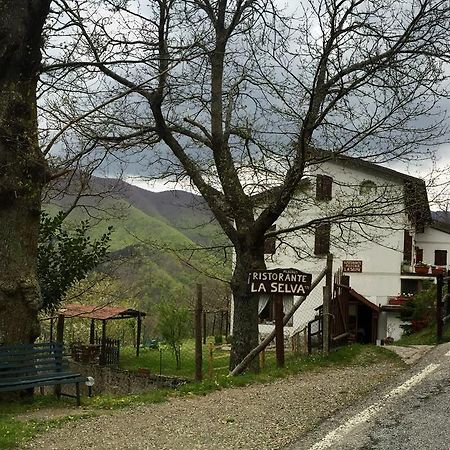 Albergo Ristorante La Selva Orsigna Exteriér fotografie