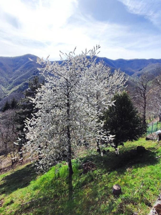 Albergo Ristorante La Selva Orsigna Exteriér fotografie